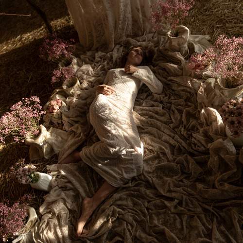 Photo #13751135