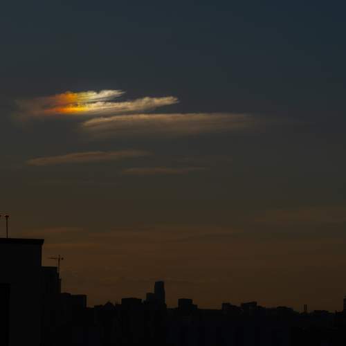 Photo #13751217