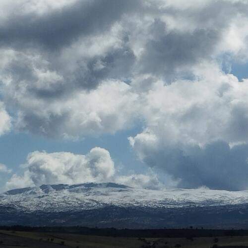 Photo #13751311