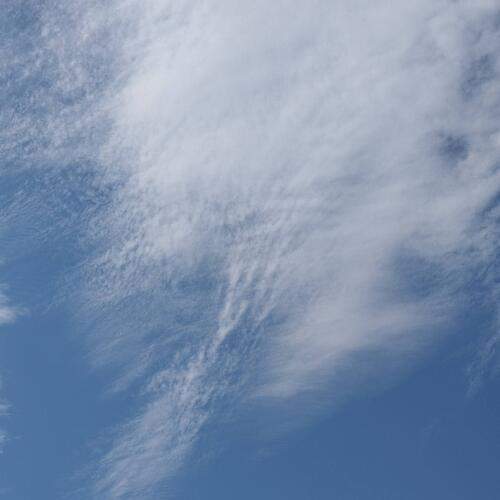 Photo #13751316