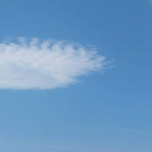 Photo #13751320