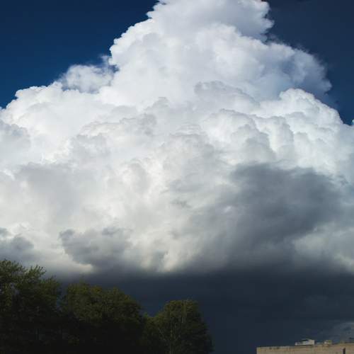 Photo #13751376