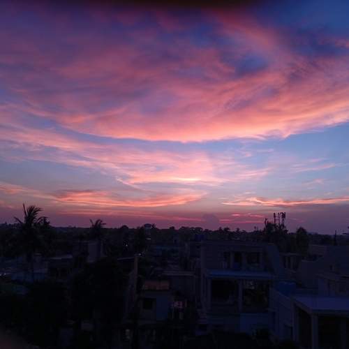 Photo #13751396