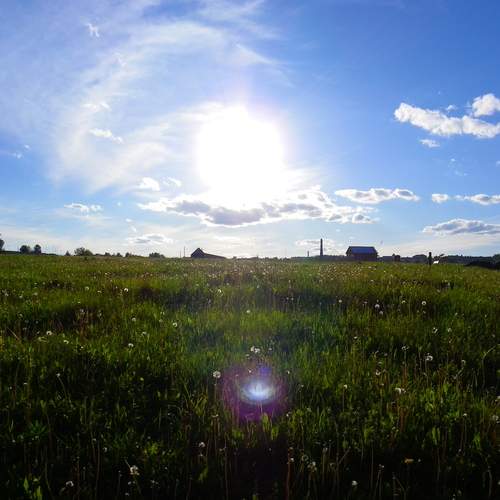 Photo #13751430