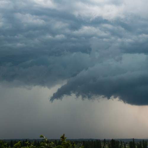 Photo #13751439