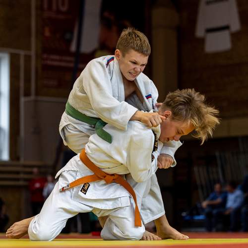 Photo #13751443