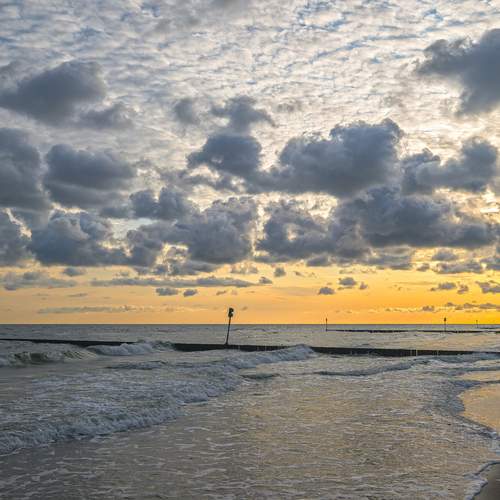 Photo #13751448