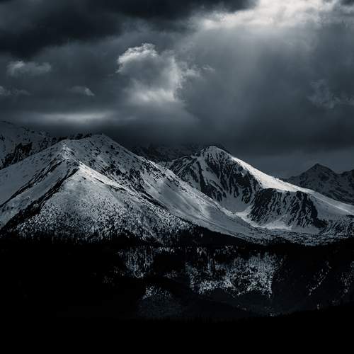 Photo #13751449