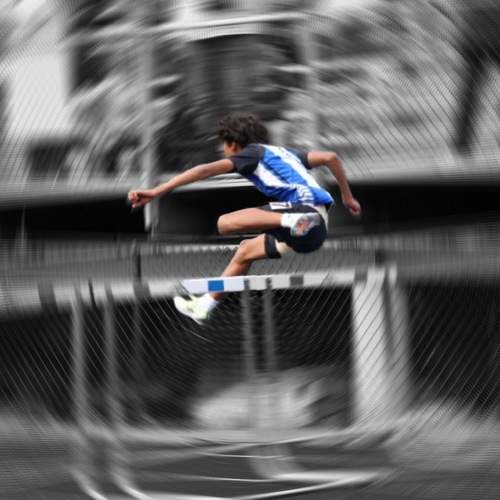 Hurdle
