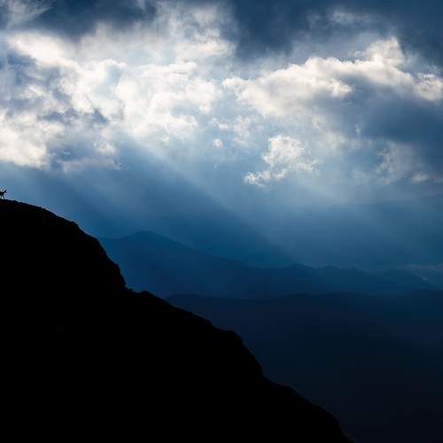 Photo #13751511