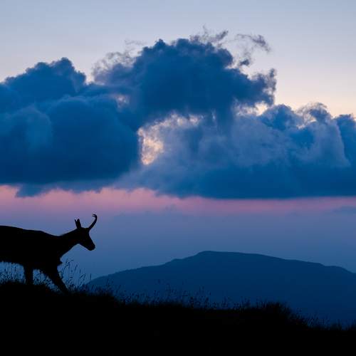Photo #13751513