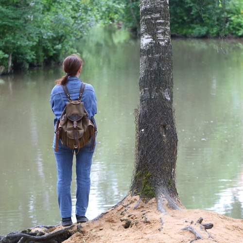 Photo #13751528