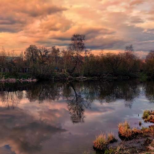 Photo #13751574