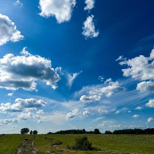 Photo #13751606