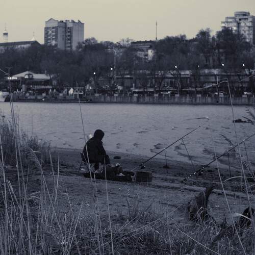 Photo #13751647