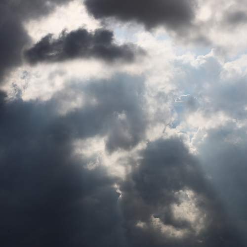 Photo #13751648