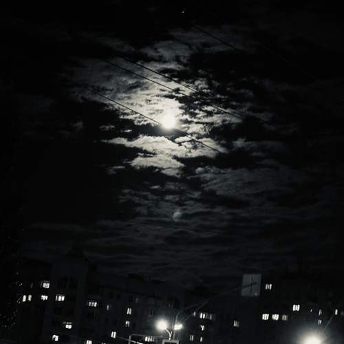Photo #13751658