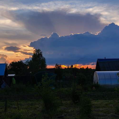 Photo #13751728