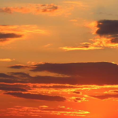 Photo #13751786