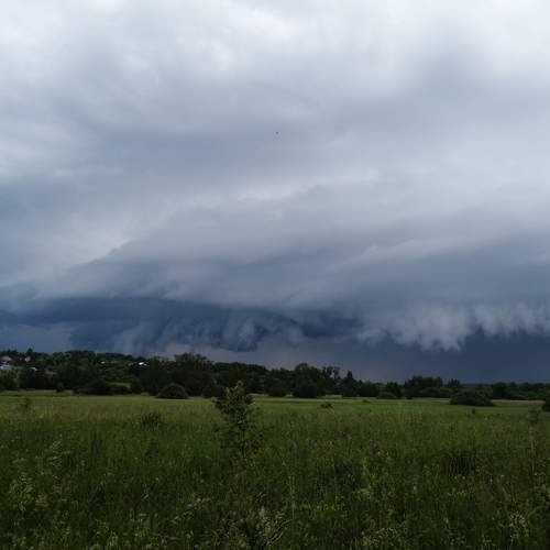 Photo #13751792