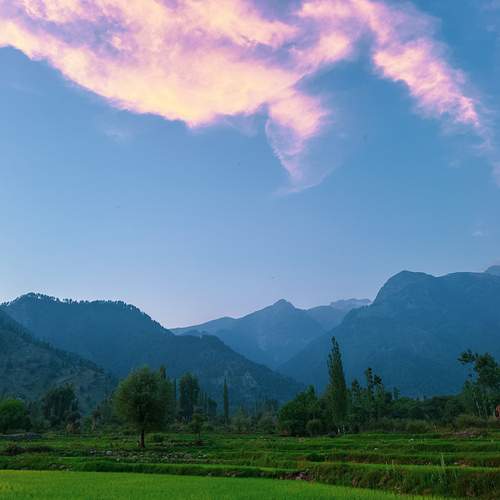Photo #13751799