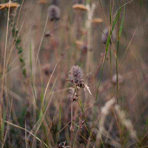 Photo #13751864