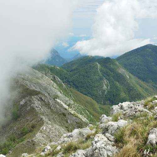Photo #13751899