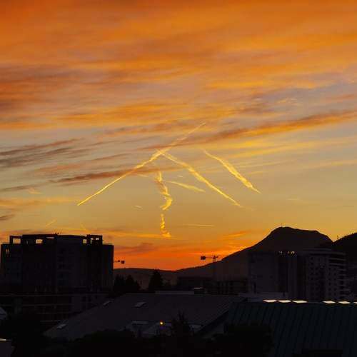 Photo #13751905