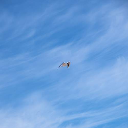 Photo #13751917