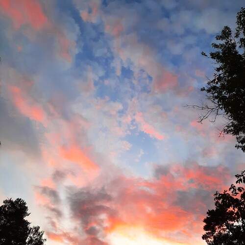 Photo #13751918
