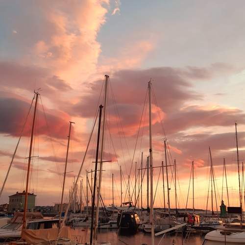 Photo #13751930