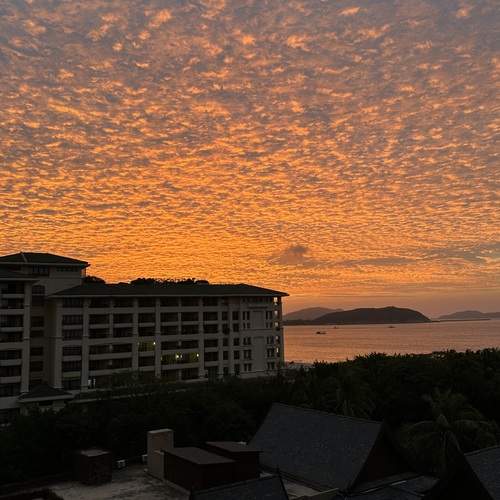 Photo #13751945