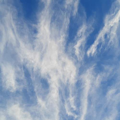 Photo #13751948