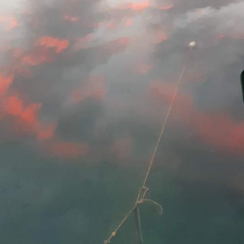 Photo #13751952