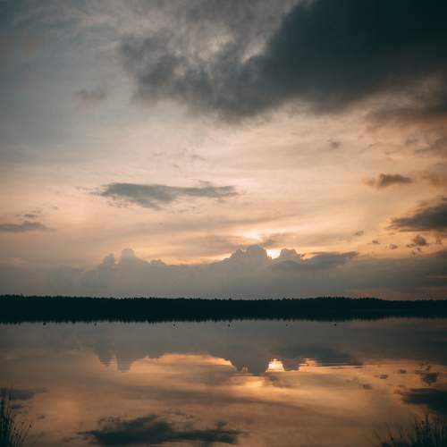 Photo #13751961