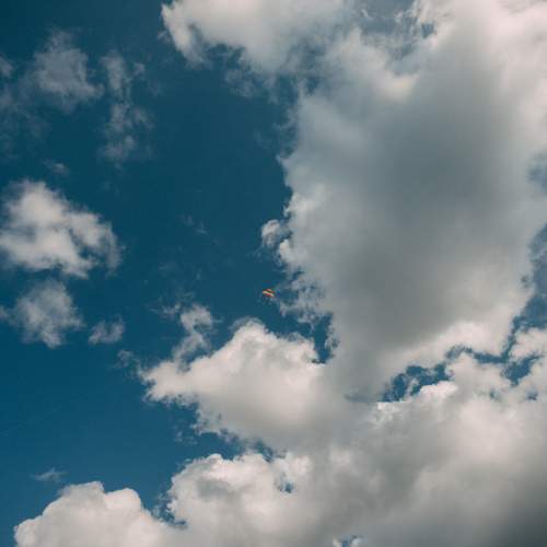 Photo #13751970