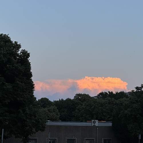 Photo #13752024
