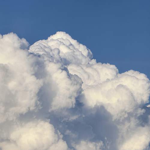 Photo #13752116