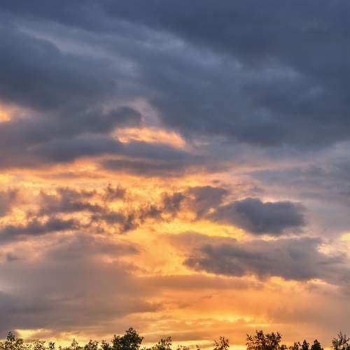 Photo #13752137