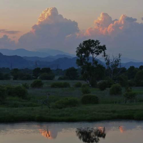Photo #13752143