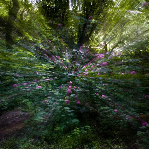 Photo #13752155