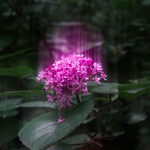 Photo #13752168
