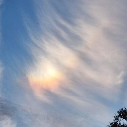 Photo #13752206