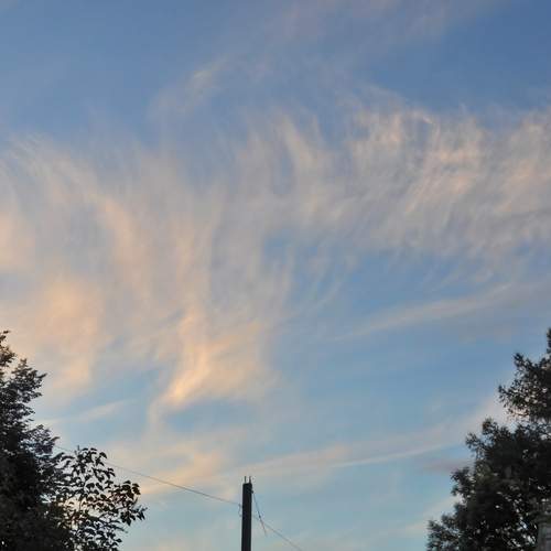Photo #13752207
