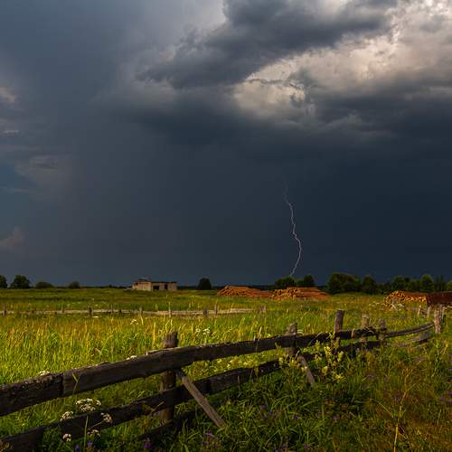 Photo #13752217