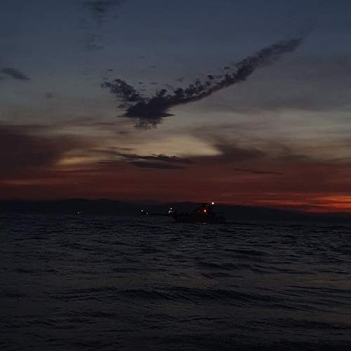 Photo #13752220