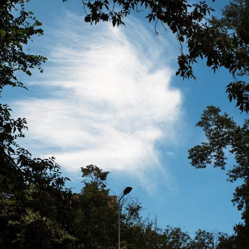 Photo #13752246