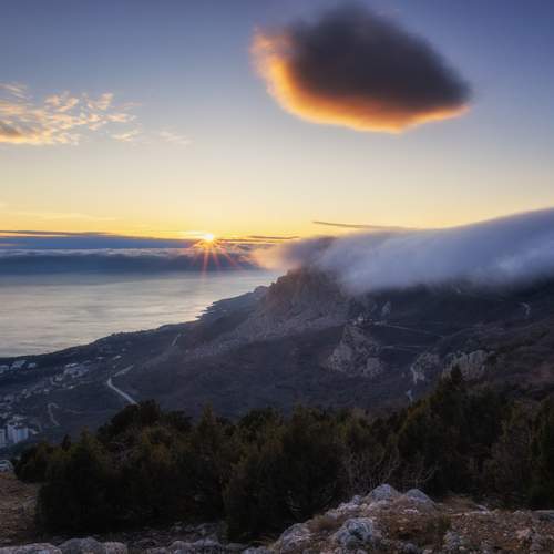 Photo #13752250