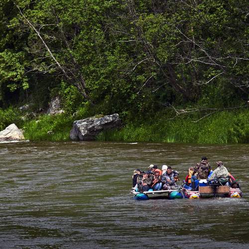 Photo #13752265