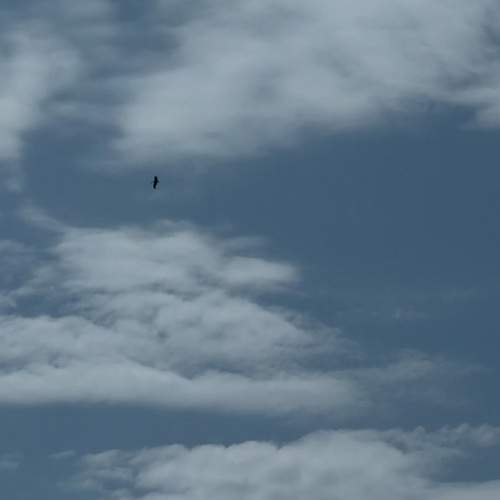 Photo #13752288